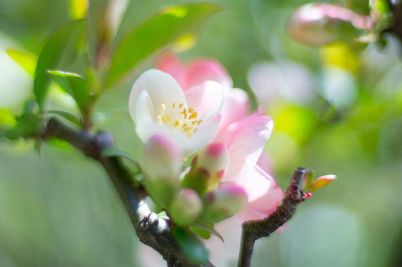 ３月に入りました！