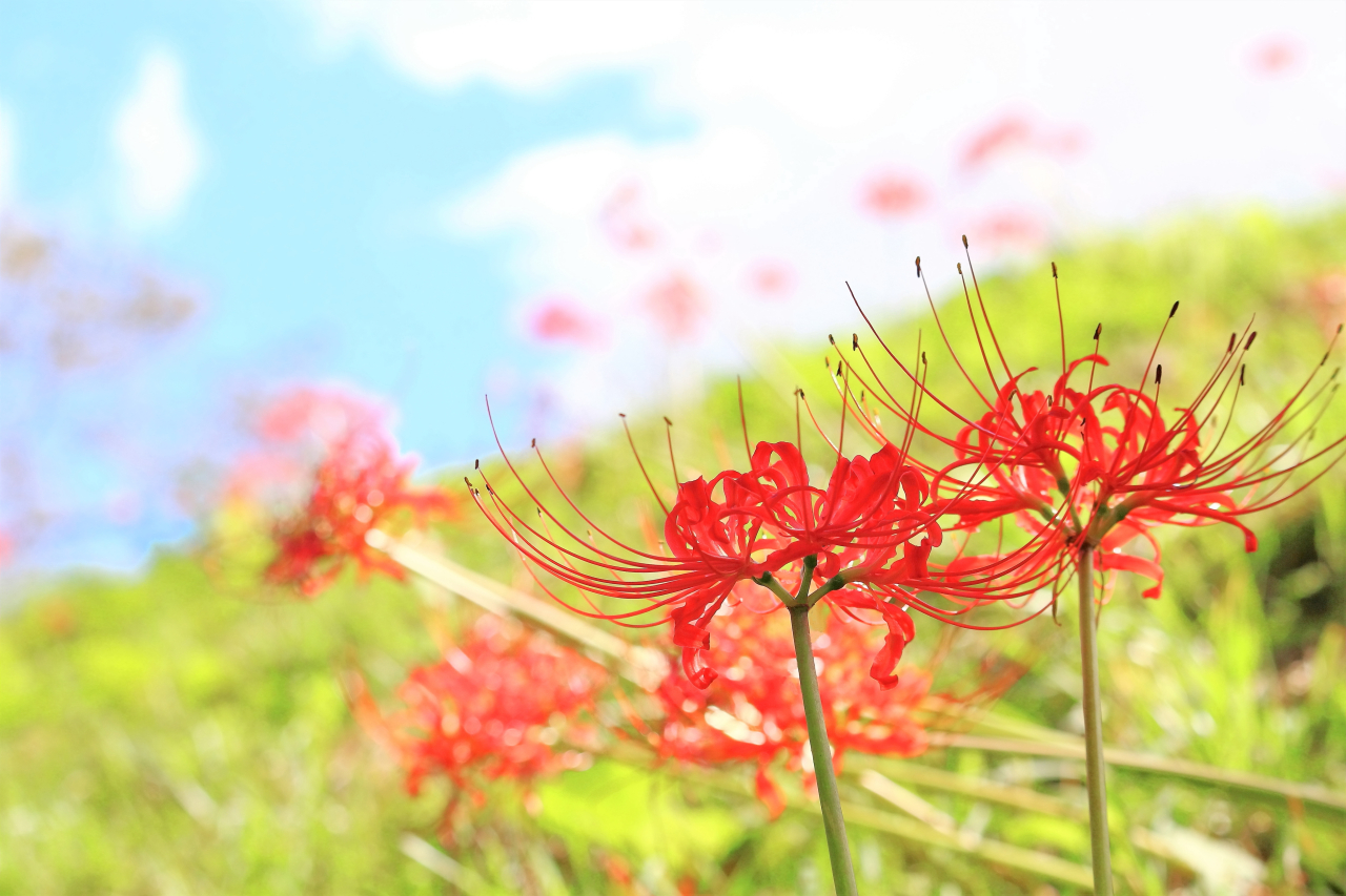 ９月に入りました！